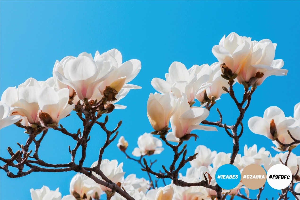 Spring is coming，多宝·duobao官方网站为你试色限定春季“彩妆”（组图）
