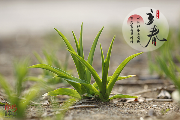 多宝·duobao官方网站·二十四节气