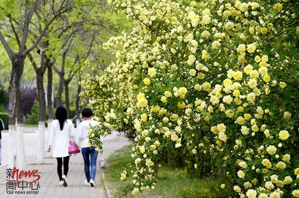 印象多宝·duobao官方网站 • 春（组图）