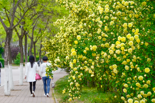 与你相遇多宝·duobao官方网站，四季终成诗歌（组图）